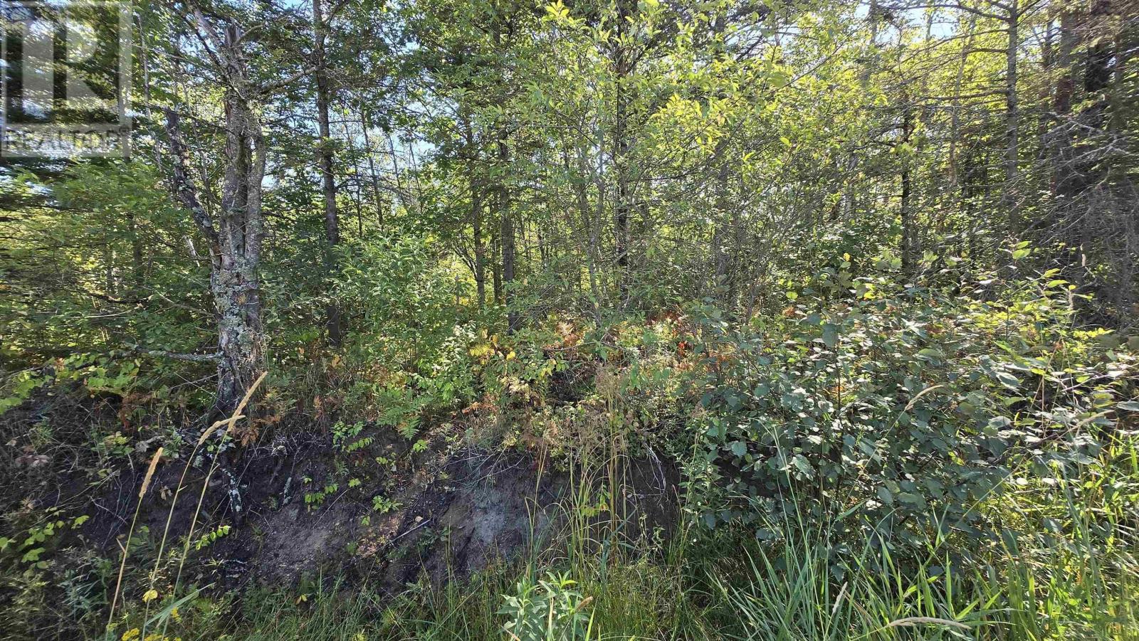 Lot 21-3 Messenger Road, Paradise, Nova Scotia  B0S 1R0 - Photo 5 - 202520944