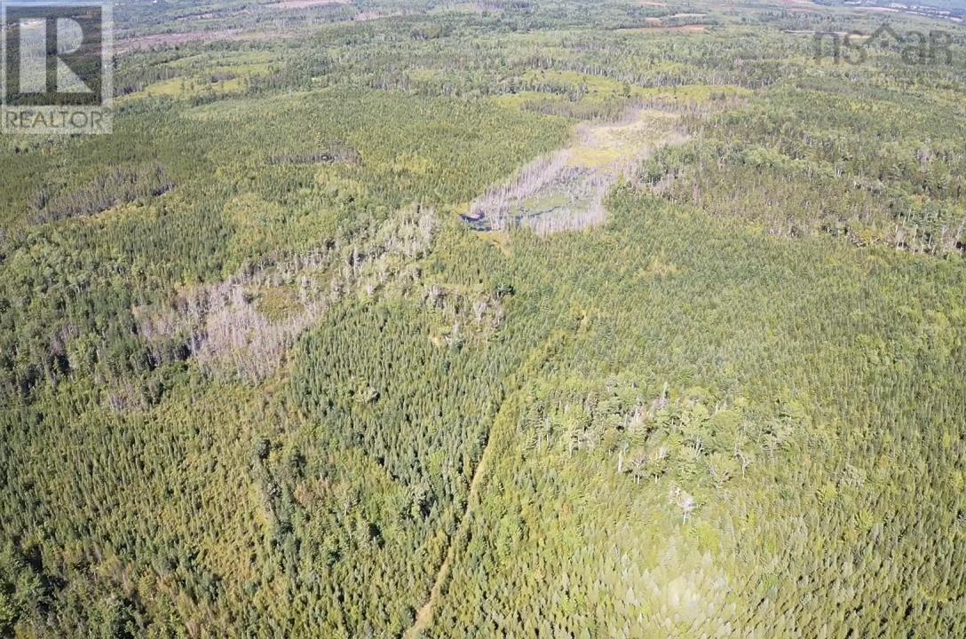 5715 Wentworth Collingwood Road, Lower Greenville, Nova Scotia  B0M 2A0 - Photo 16 - 202520951