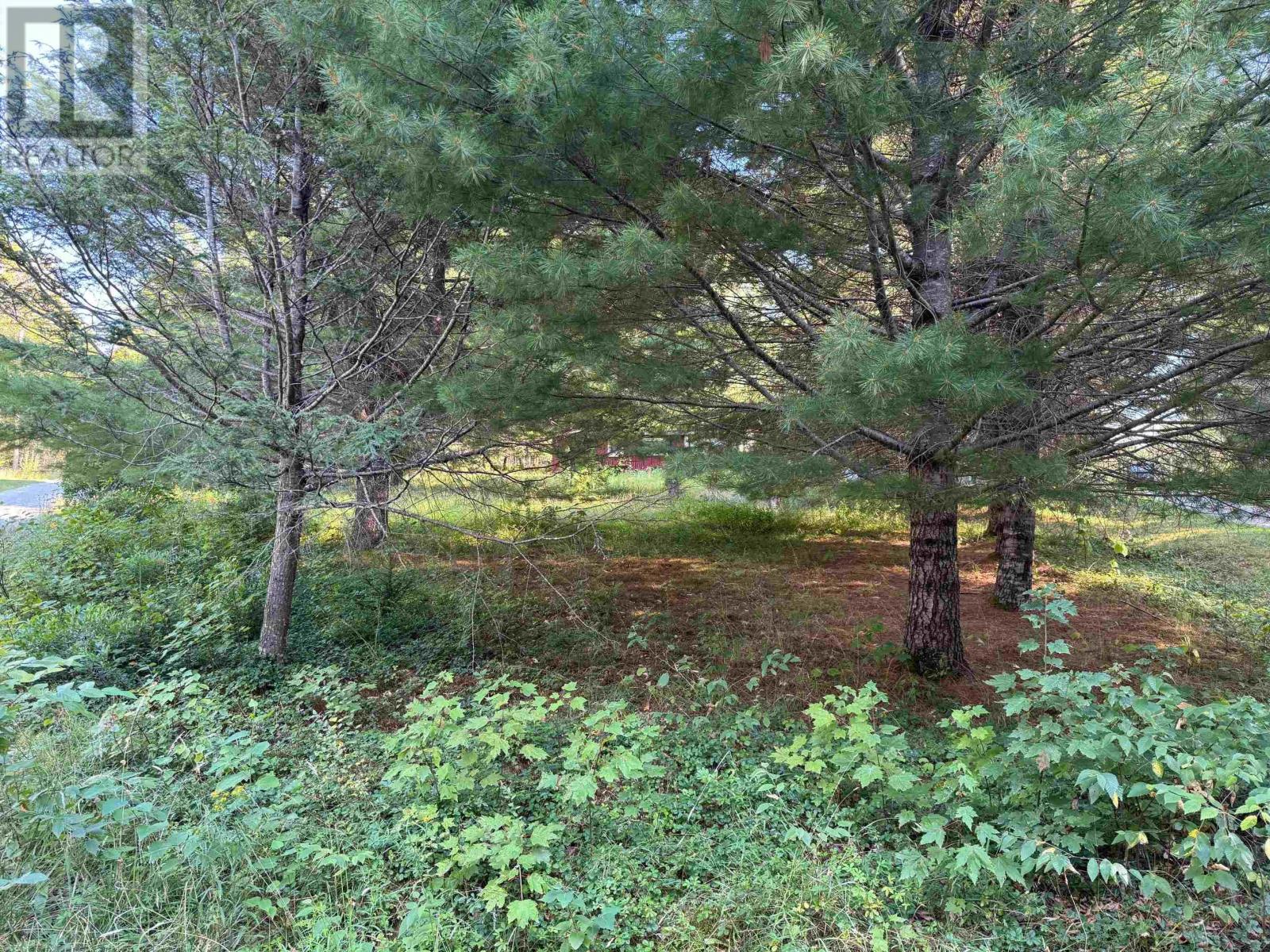 199 Kempt Back Lake Road, Kemptville, Nova Scotia  B5A 5X9 - Photo 7 - 202520995