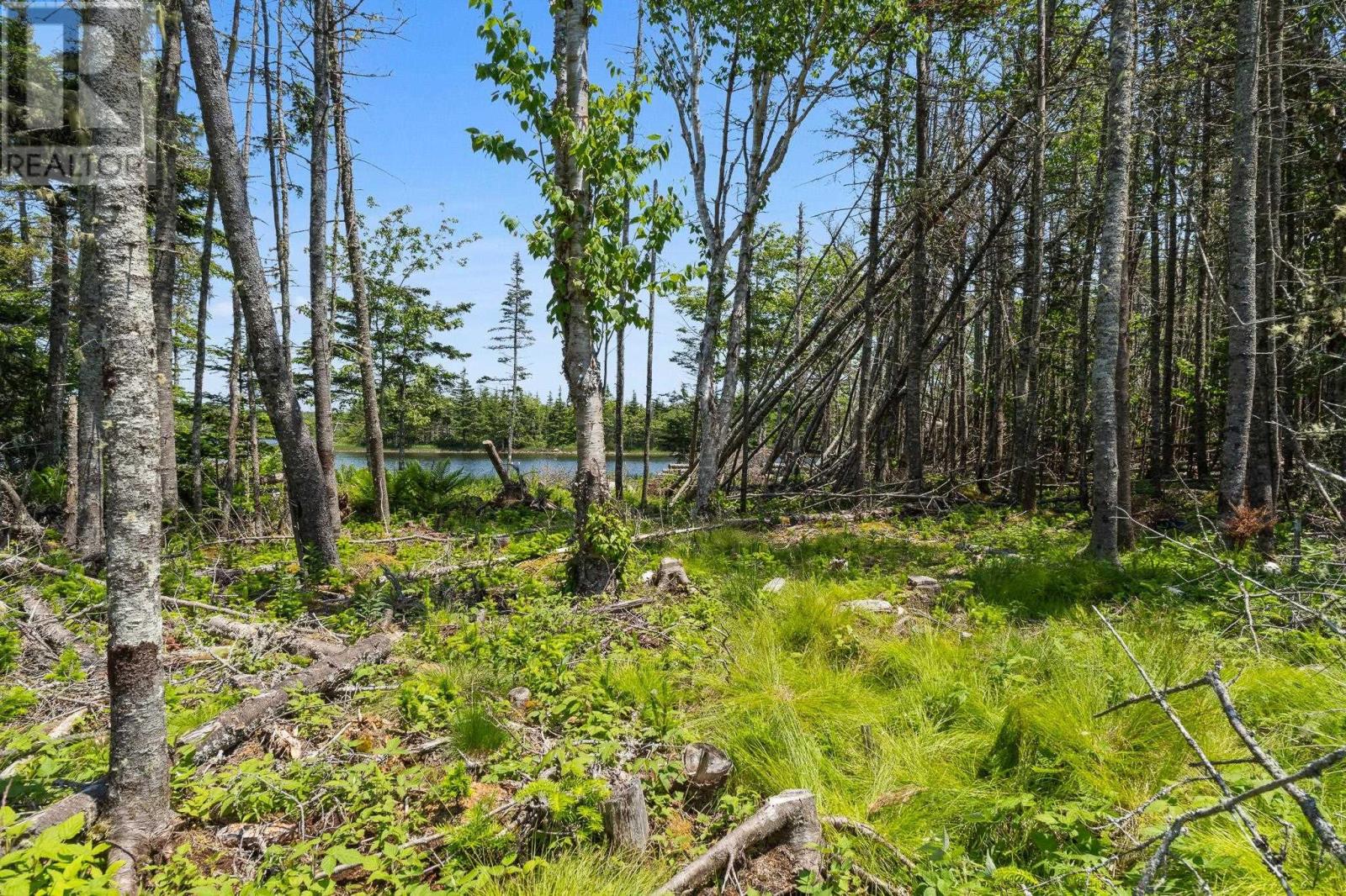 Lot Highway 207, Seaforth, Nova Scotia  B0J 2L0 - Photo 22 - 202521001