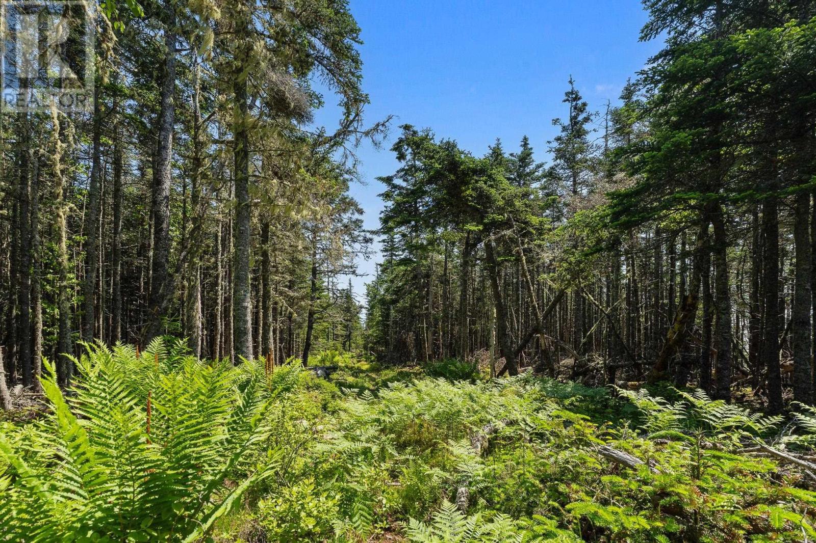 Lot Highway 207, Seaforth, Nova Scotia  B0J 2L0 - Photo 26 - 202521001