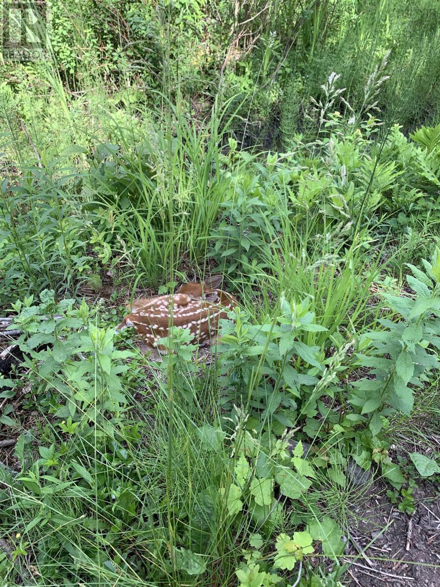 15 Cottage Lane, Windsor Junction, Nova Scotia  B2T 1G7 - Photo 19 - 202521027