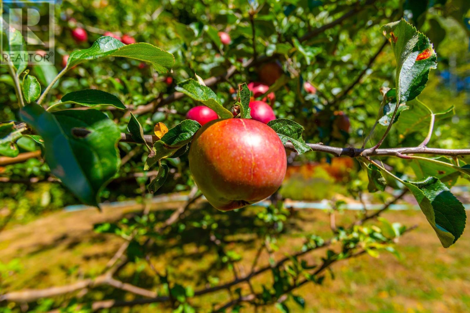 2478 Highway 1, Upper Clements, Nova Scotia  B0S 1A0 - Photo 50 - 202521039