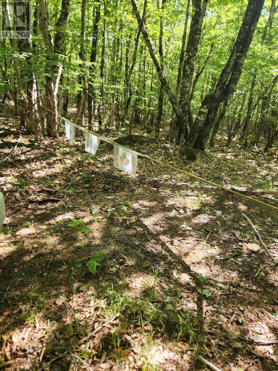 Lot 18-1 Peters Point Road, South Brookfield, Nova Scotia  B0T 1X0 - Photo 4 - 202521187