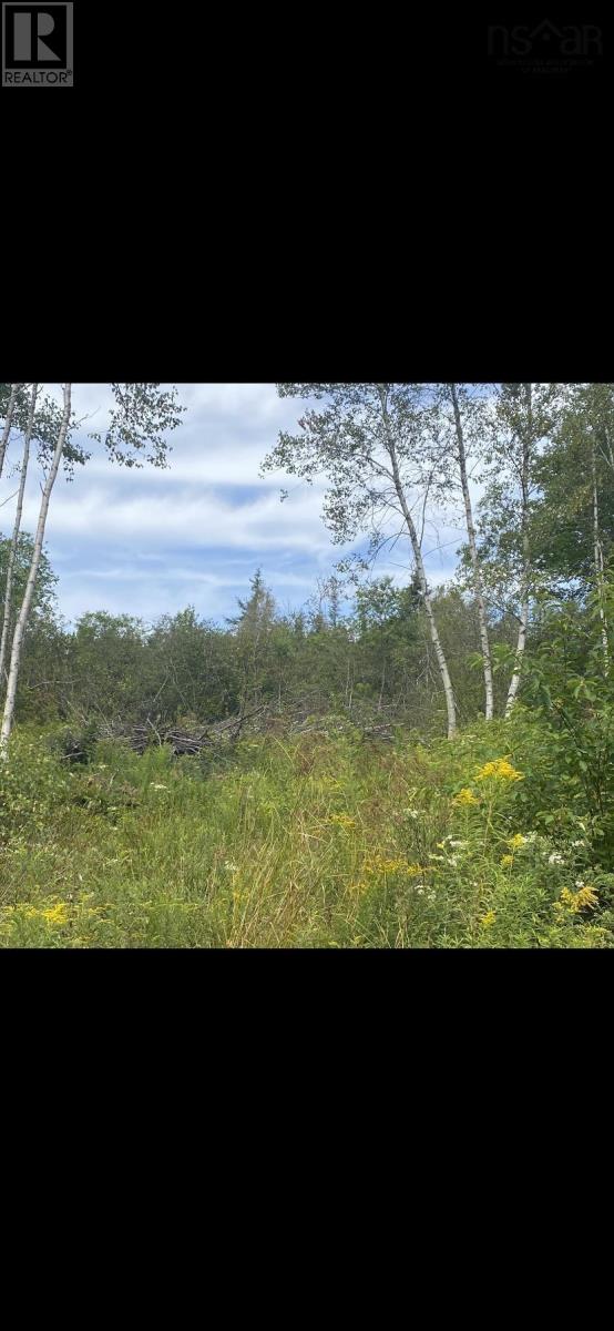 18 Adalynn Lane, Wyses Corner, Nova Scotia  B0N 1Y0 - Photo 2 - 202521200