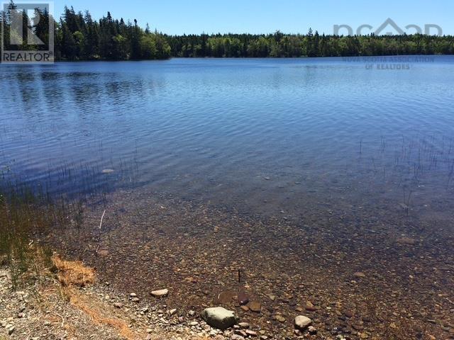 5000 Louisbourg Highway, Albert Bridge, Nova Scotia  B1K 3T9 - Photo 5 - 202521211