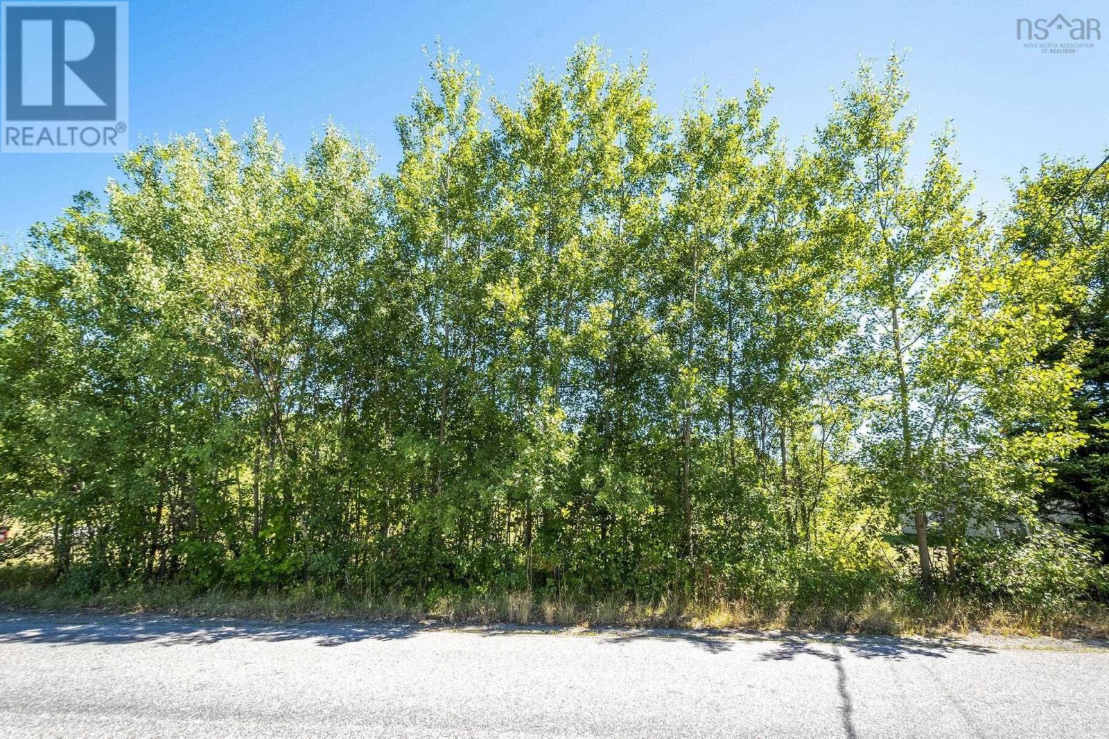 12-A Pleasant Street, Conway, Nova Scotia  B0V 1A0 - Photo 30 - 202521244