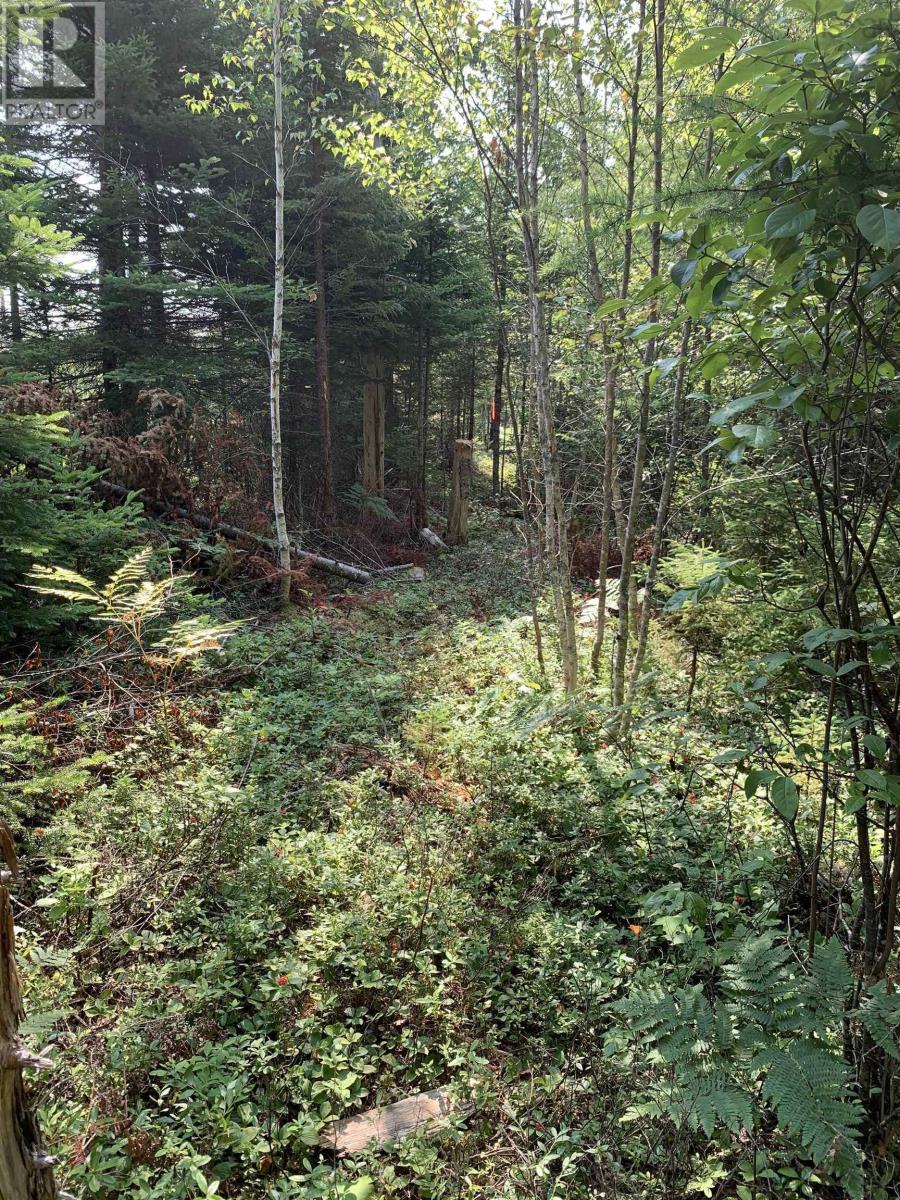 Lot 4a Hunter Road, Wentworth Valley, Nova Scotia  B0M 1Z0 - Photo 10 - 202521315