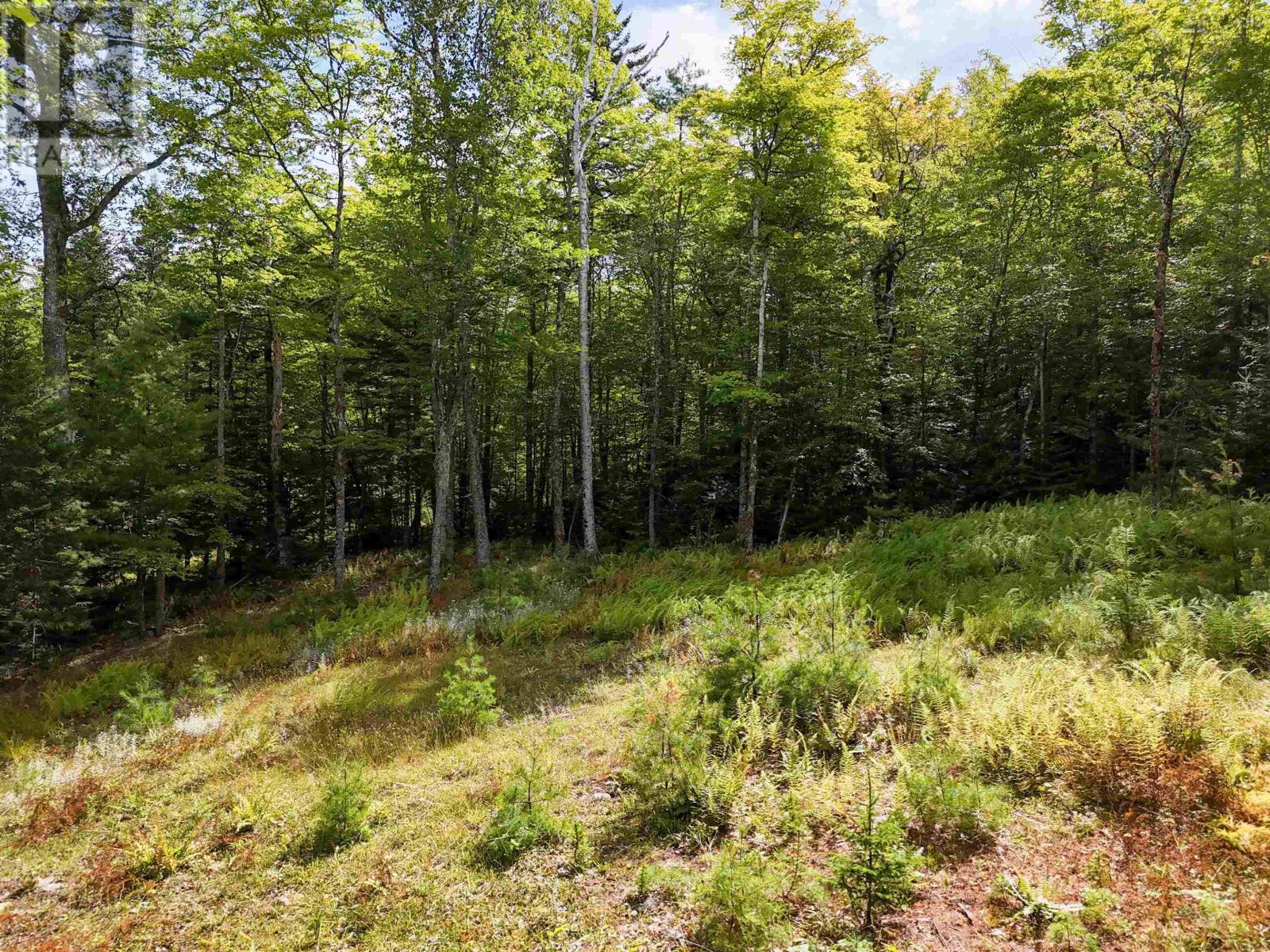 35 142 Uhlman Point Road, Molega North, Nova Scotia  B0T 1X0 - Photo 3 - 202521374