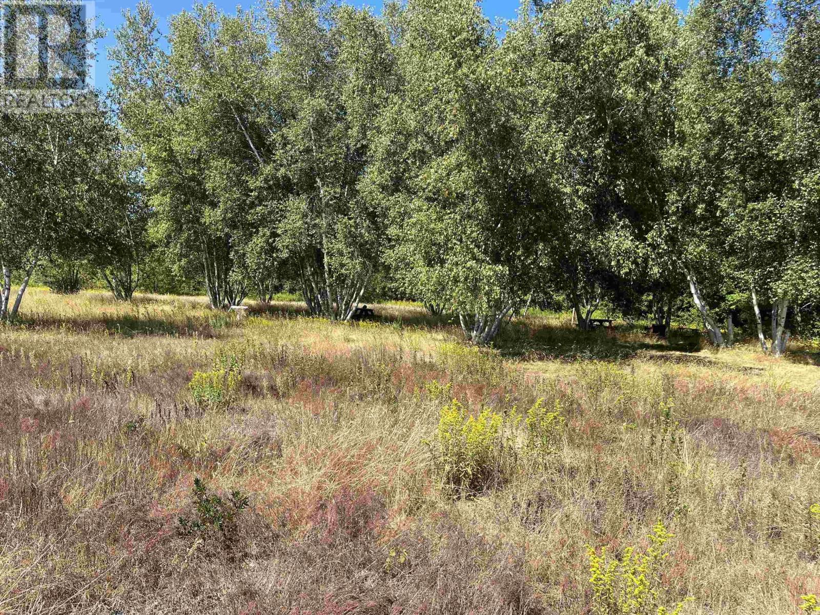 369 Mount Hanley Road, North Williamston, Nova Scotia  B0S 1M0 - Photo 49 - 202521407