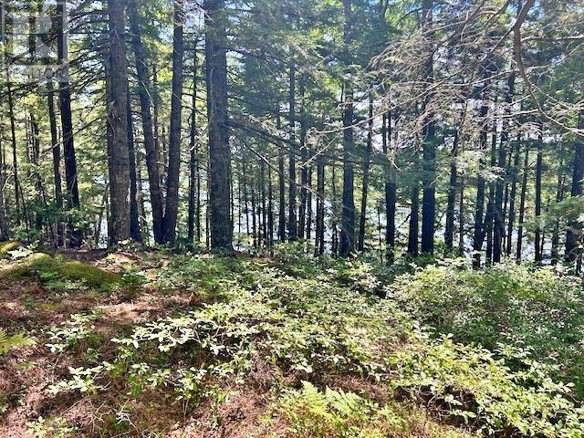 1235 Woodstock Road, Clearland, Nova Scotia  B0J 2E0 - Photo 19 - 202521413