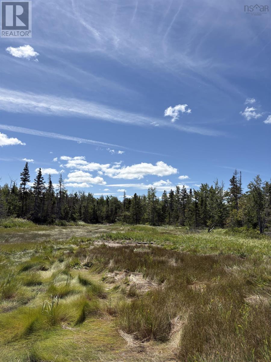 Lot 07-4 Thompson Road, Pugwash River, Nova Scotia  B0M 1P0 - Photo 3 - 202521426