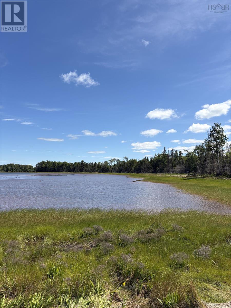 Lot 07-4 Thompson Road, Pugwash River, Nova Scotia  B0M 1P0 - Photo 6 - 202521426