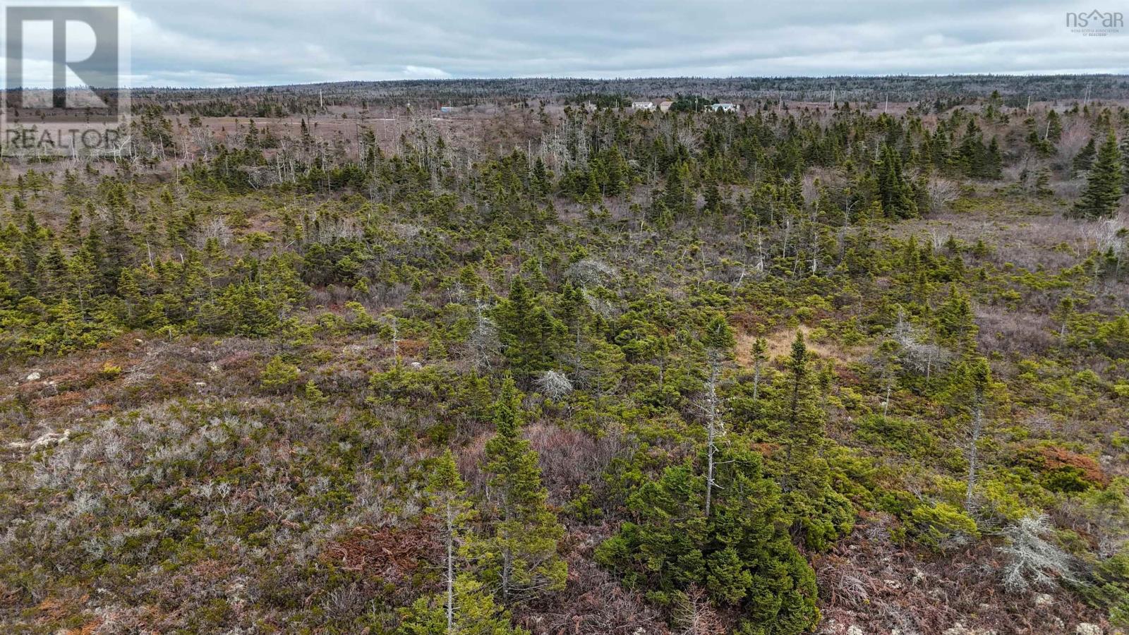 Popes Road, Charlesville, Nova Scotia  B0W 2E0 - Photo 18 - 202521492