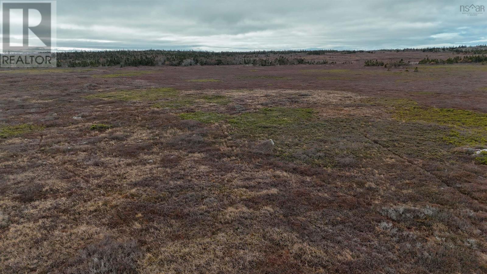 Popes Road, Charlesville, Nova Scotia  B0W 2E0 - Photo 33 - 202521492