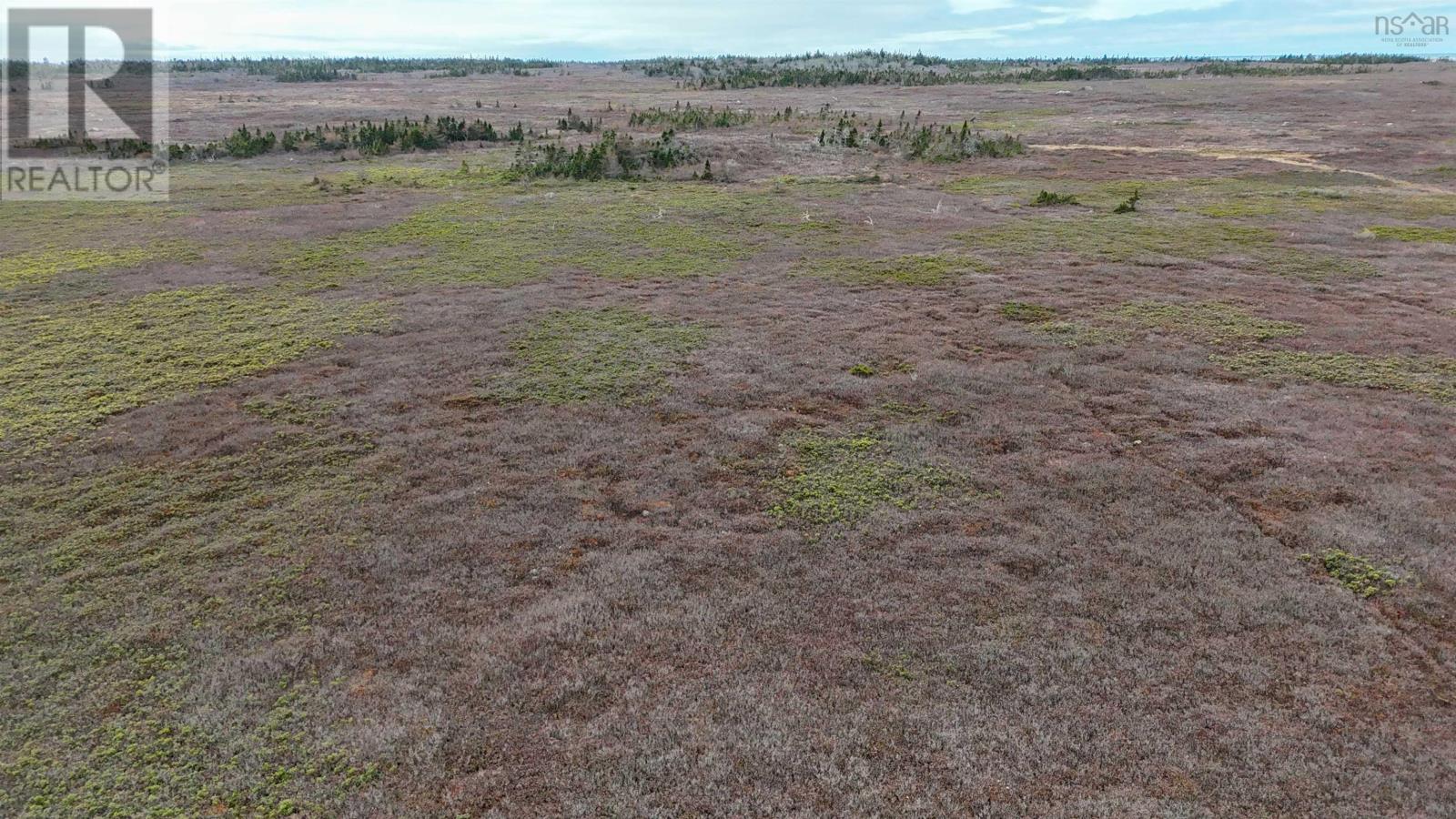 Popes Road, Charlesville, Nova Scotia  B0W 2E0 - Photo 8 - 202521492