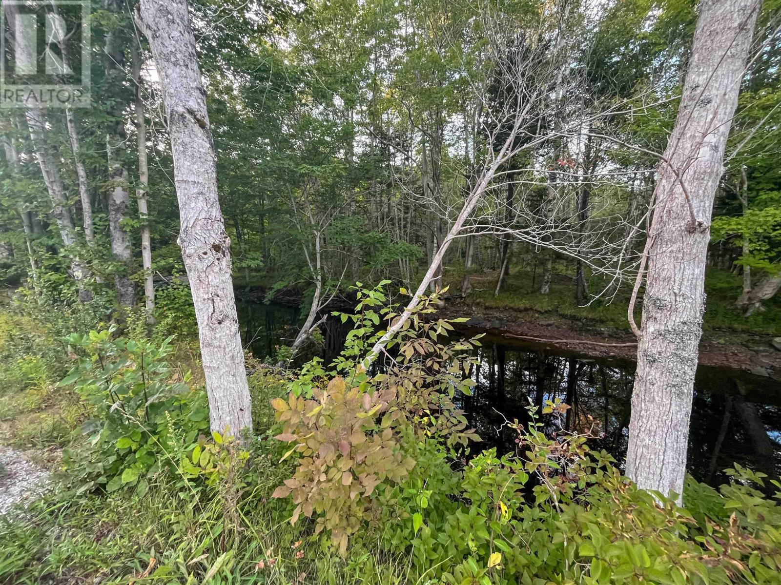 Lot Bangor Road, Bangor, Nova Scotia  B0W 2L0 - Photo 14 - 202521500