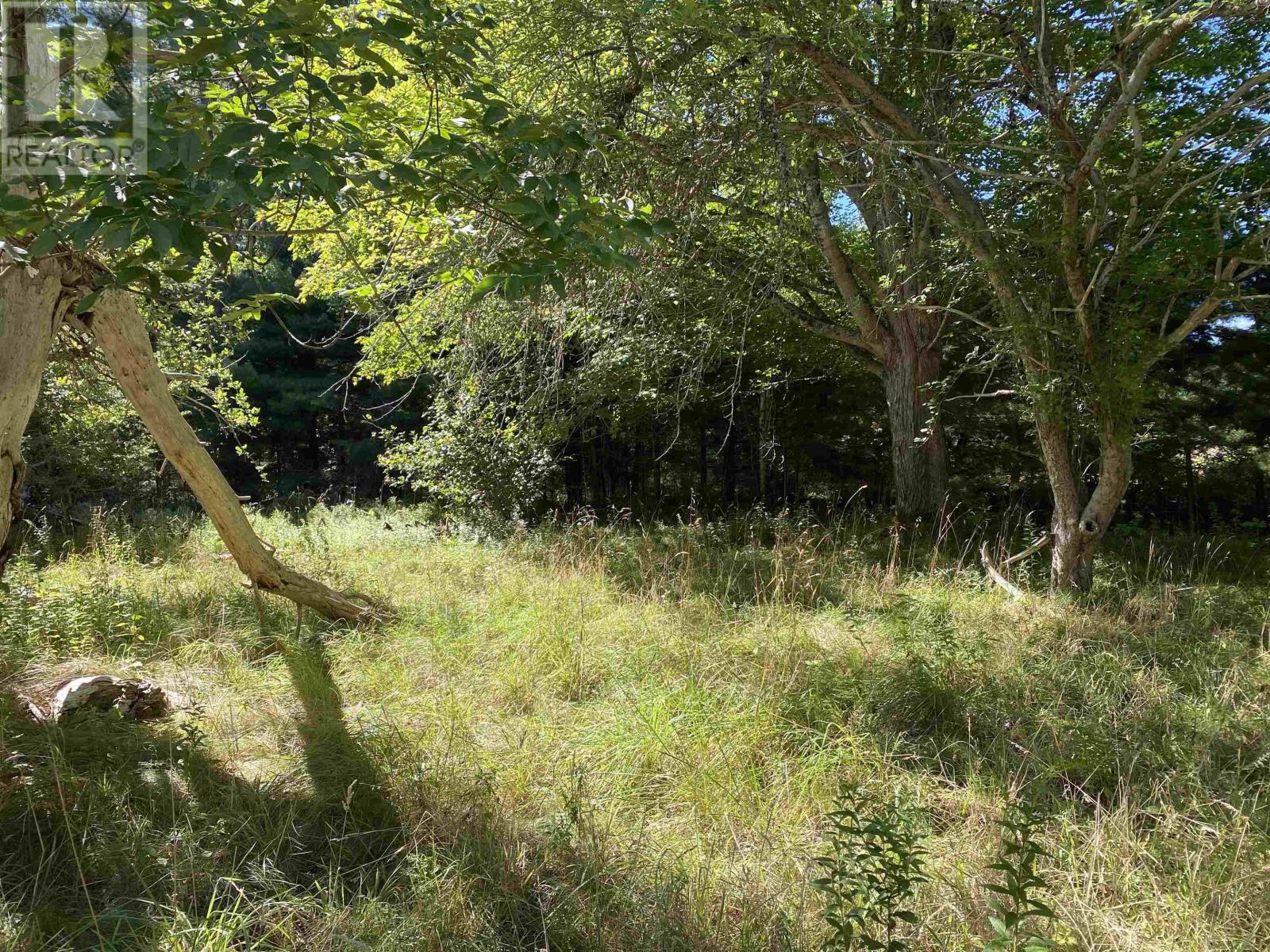 3666 Highway 203, East Kemptville, Nova Scotia  B5A 5P7 - Photo 5 - 202521547