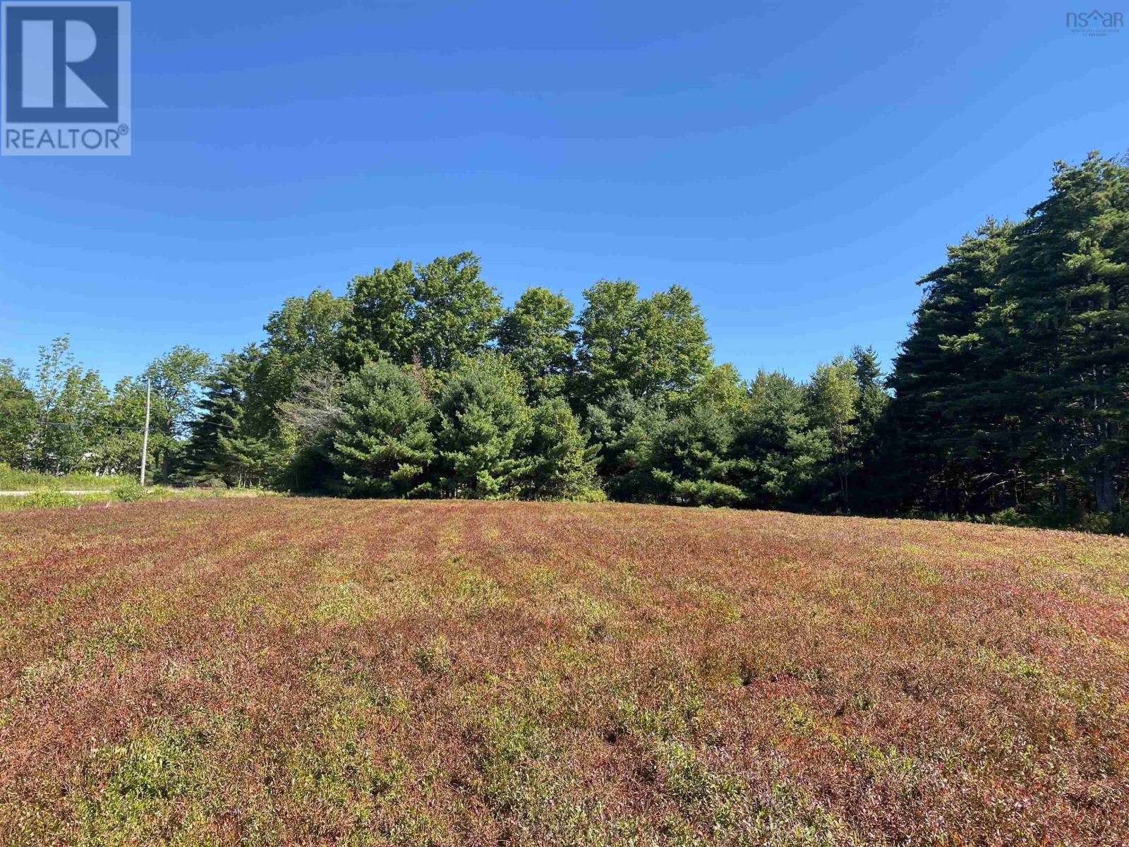 3666 Highway 203, East Kemptville, Nova Scotia  B5A 5P7 - Photo 7 - 202521547