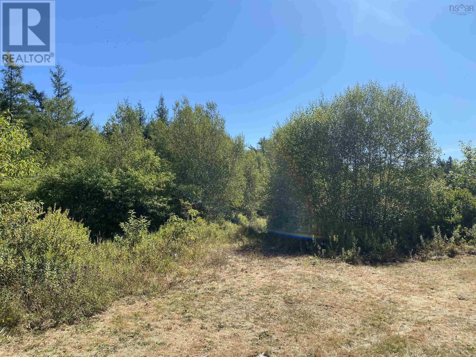 3666 Highway 203, East Kemptville, Nova Scotia  B5A 5P7 - Photo 8 - 202521547