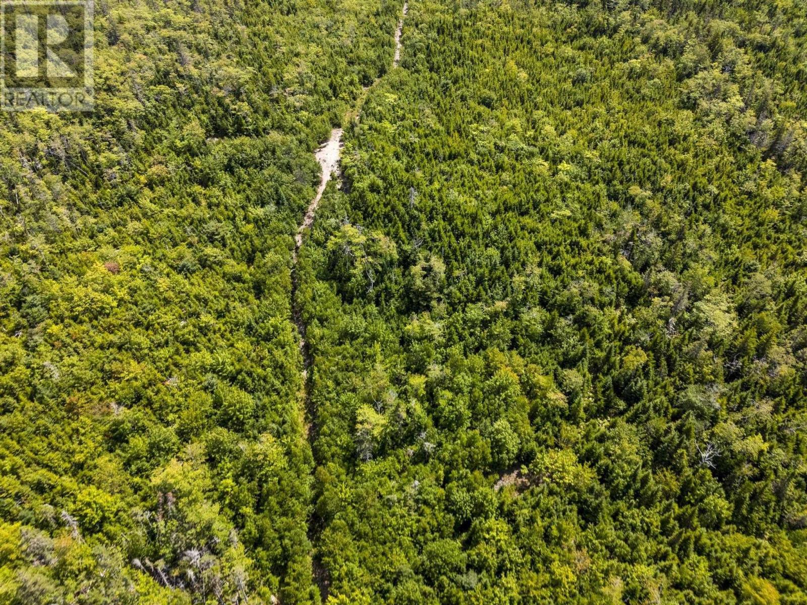 166 Hillside Drive, Boutiliers Point, Nova Scotia  B3Z 1W8 - Photo 15 - 202521596