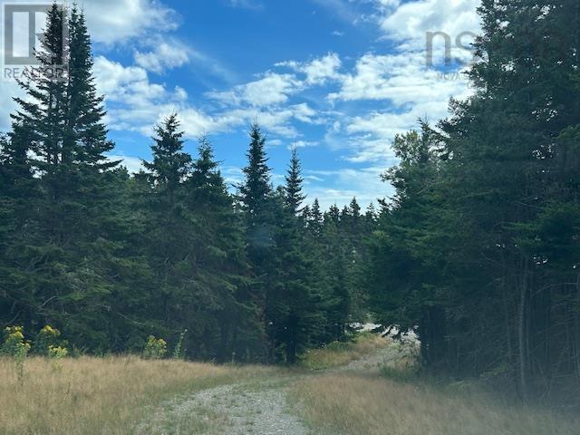 1185 247 Highway, Rockdale, Nova Scotia  B0E 3B0 - Photo 10 - 202521608