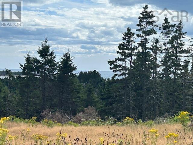 1185 247 Highway, Rockdale, Nova Scotia  B0E 3B0 - Photo 3 - 202521608