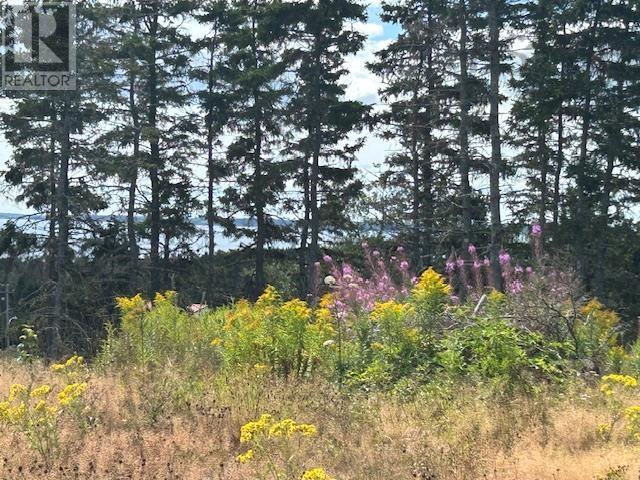 1185 247 Highway, Rockdale, Nova Scotia  B0E 3B0 - Photo 4 - 202521608