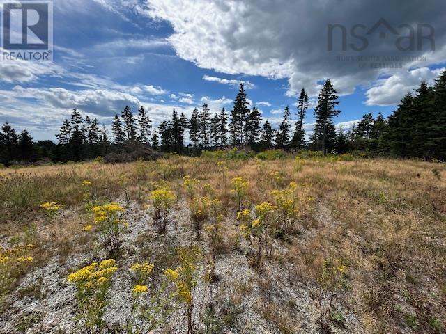 1185 247 Highway, Rockdale, Nova Scotia  B0E 3B0 - Photo 5 - 202521608