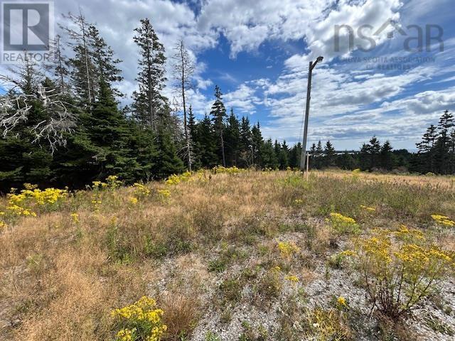 1185 247 Highway, Rockdale, Nova Scotia  B0E 3B0 - Photo 6 - 202521608