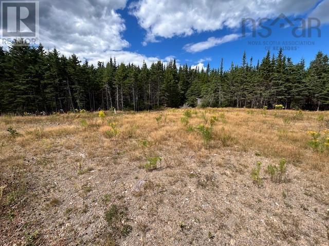 1185 247 Highway, Rockdale, Nova Scotia  B0E 3B0 - Photo 7 - 202521608