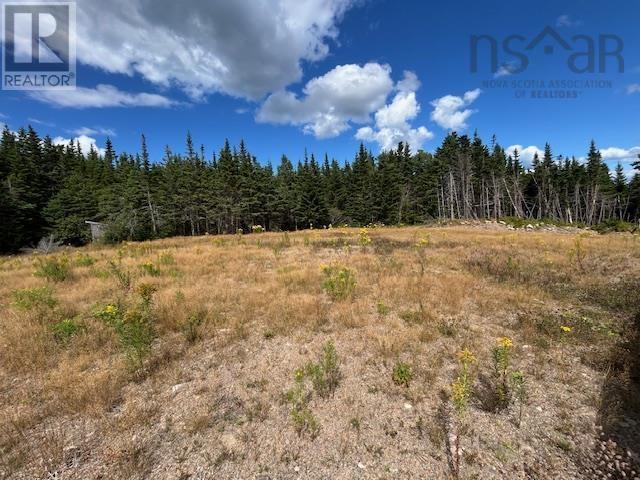 1185 247 Highway, Rockdale, Nova Scotia  B0E 3B0 - Photo 8 - 202521608