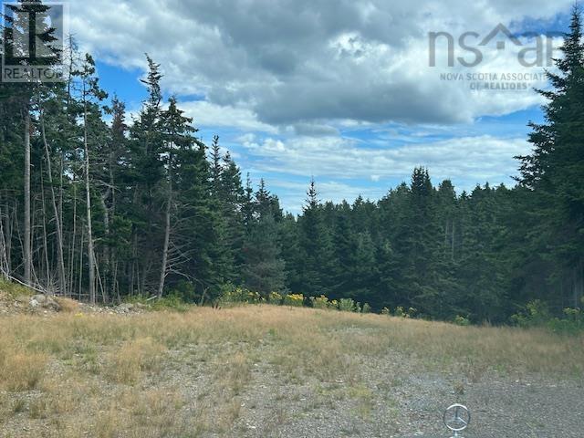 1185 247 Highway, Rockdale, Nova Scotia  B0E 3B0 - Photo 9 - 202521608