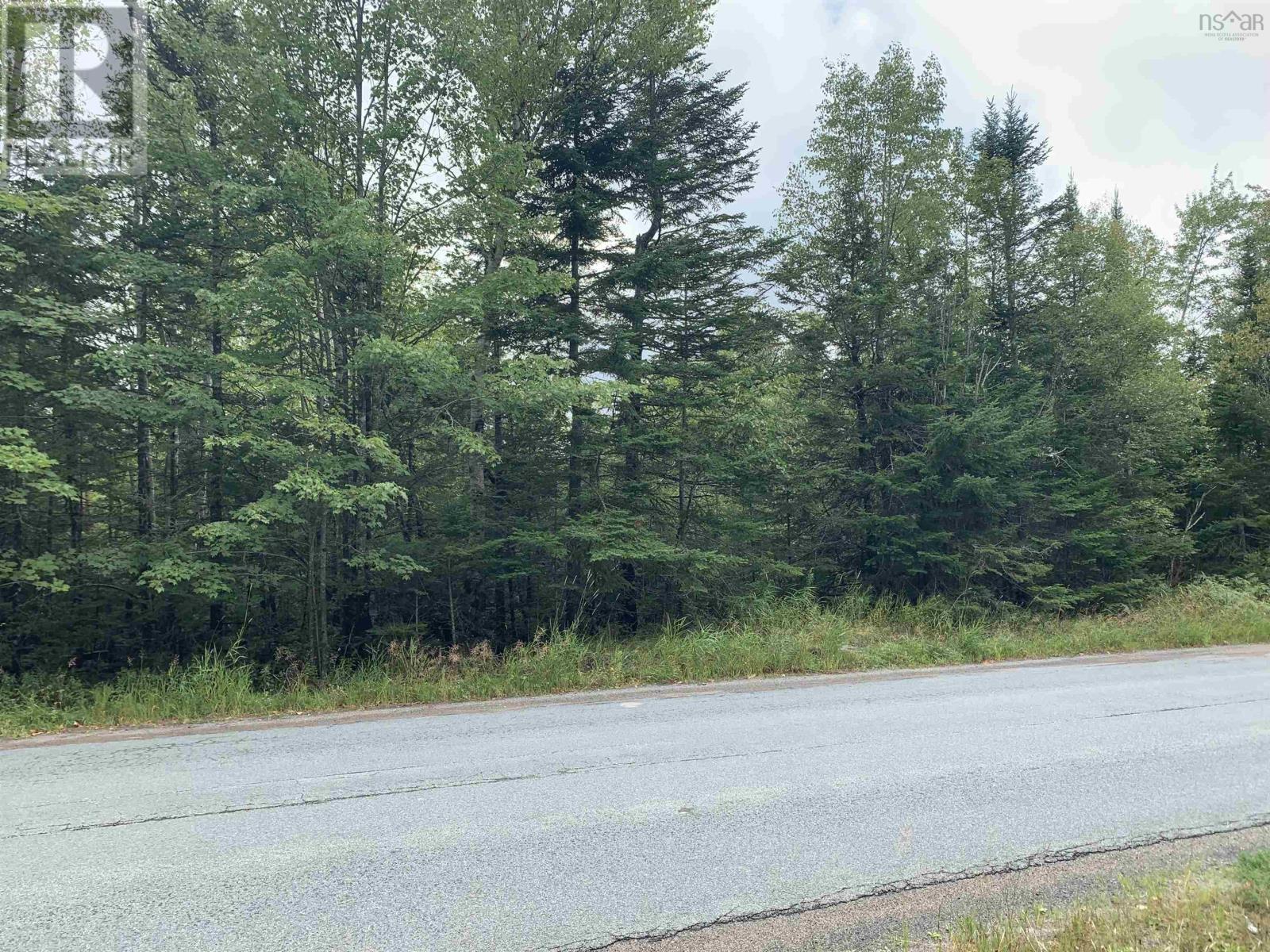 179 Sibley Road, Middle Musquodoboit, Nova Scotia  B0N 1X0 - Photo 2 - 202521685