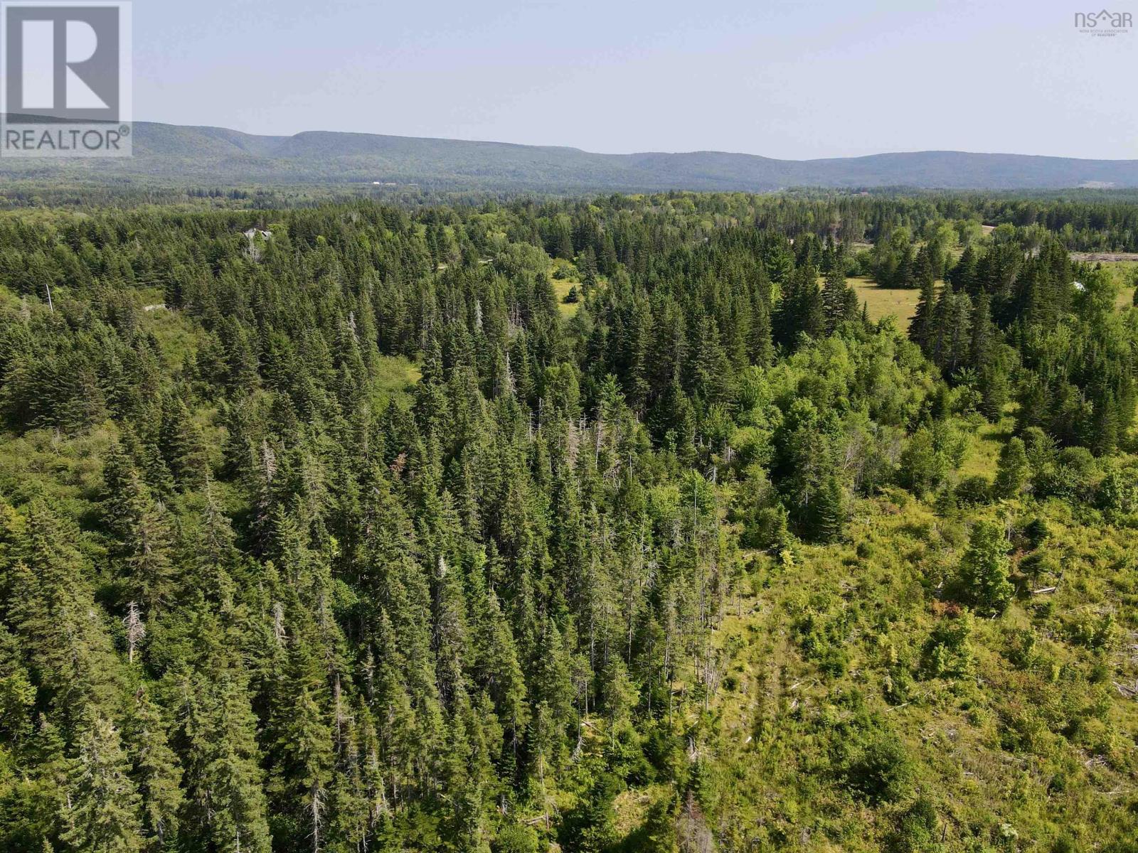 1349 West Side Middle River Road, Middle River, Nova Scotia  B0E 1B0 - Photo 3 - 202521709