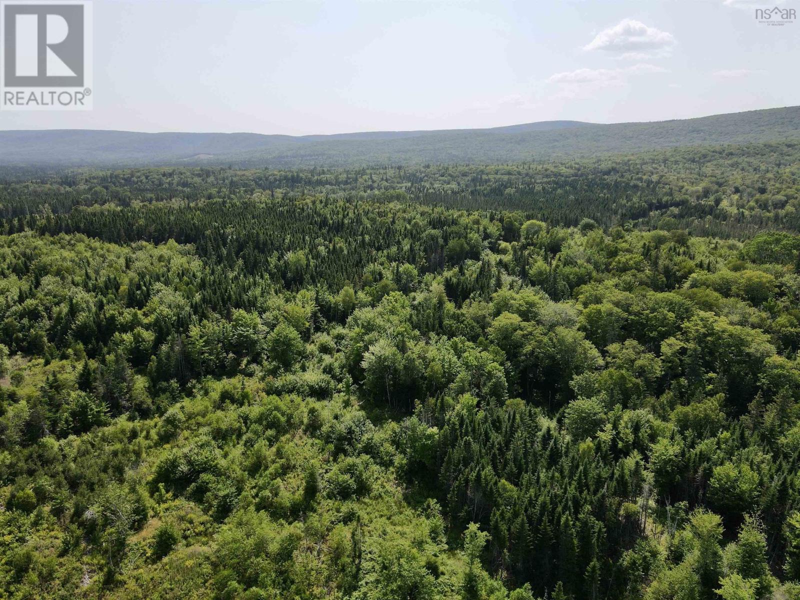 1349 West Side Middle River Road, Middle River, Nova Scotia  B0E 1B0 - Photo 4 - 202521709