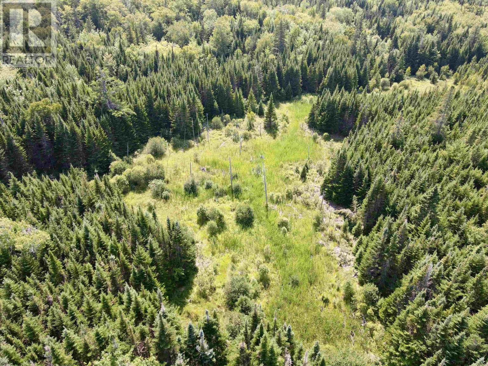 1349 West Side Middle River Road, Middle River, Nova Scotia  B0E 1B0 - Photo 8 - 202521709