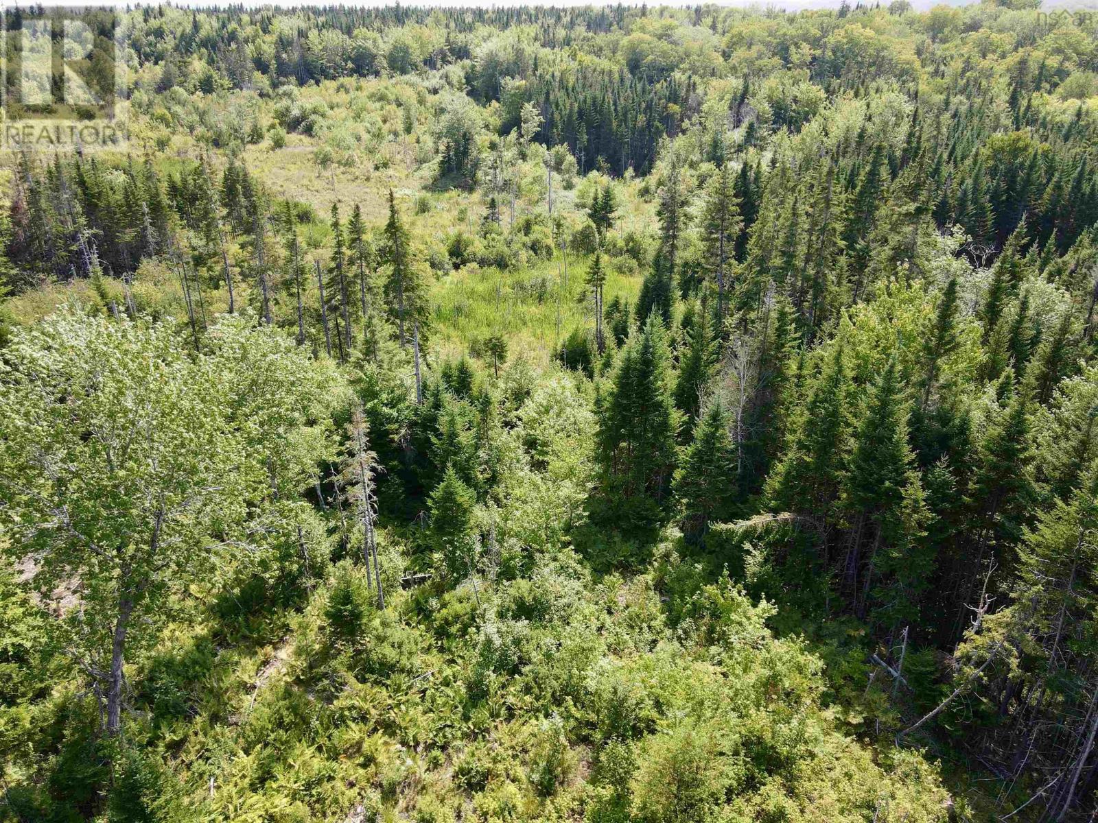 1349 West Side Middle River Road, Middle River, Nova Scotia  B0E 1B0 - Photo 9 - 202521709