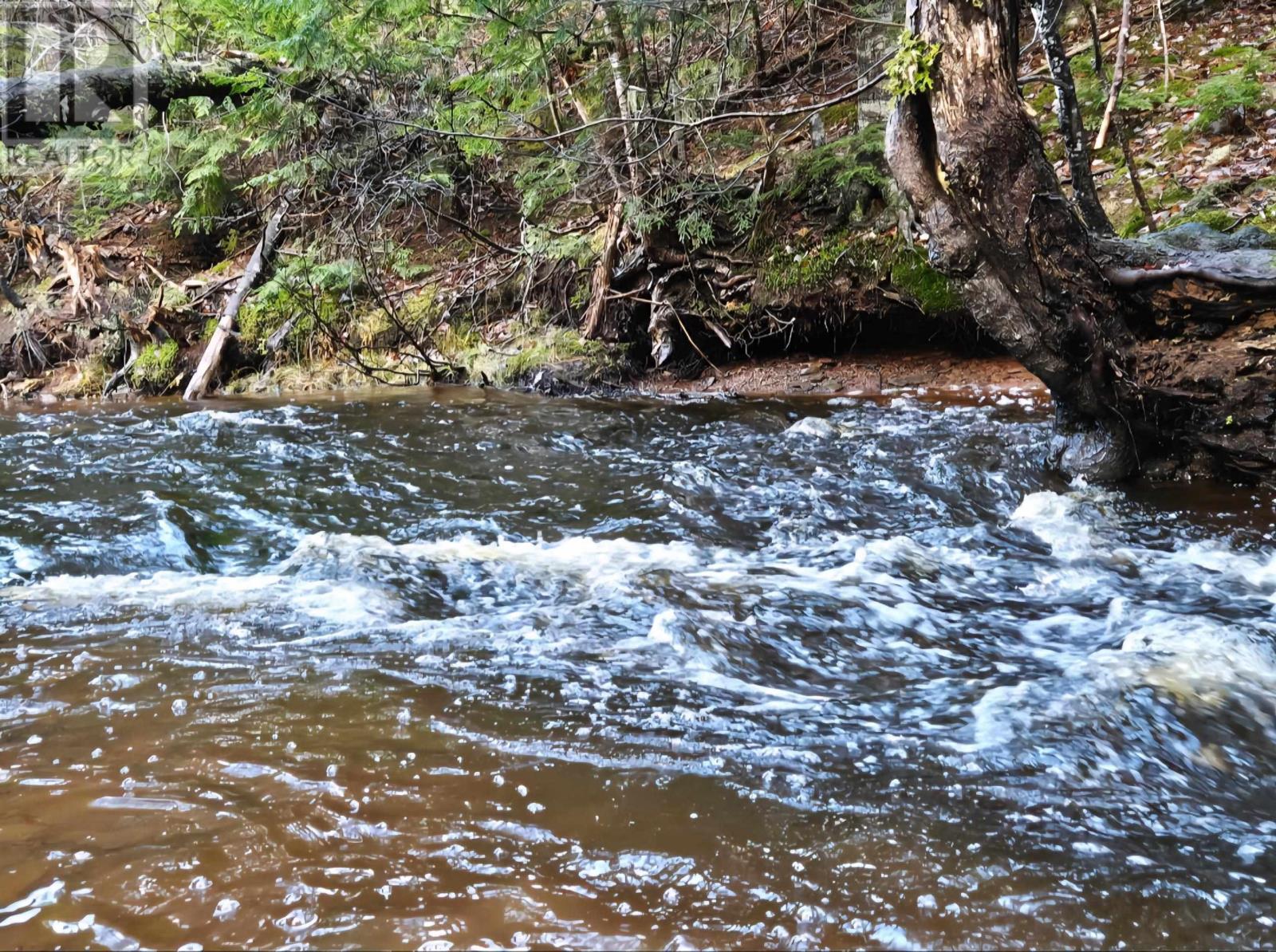 Lot 25-1 Highway #368, Wentworth, Nova Scotia  B0M 1Z0 - Photo 12 - 202521733