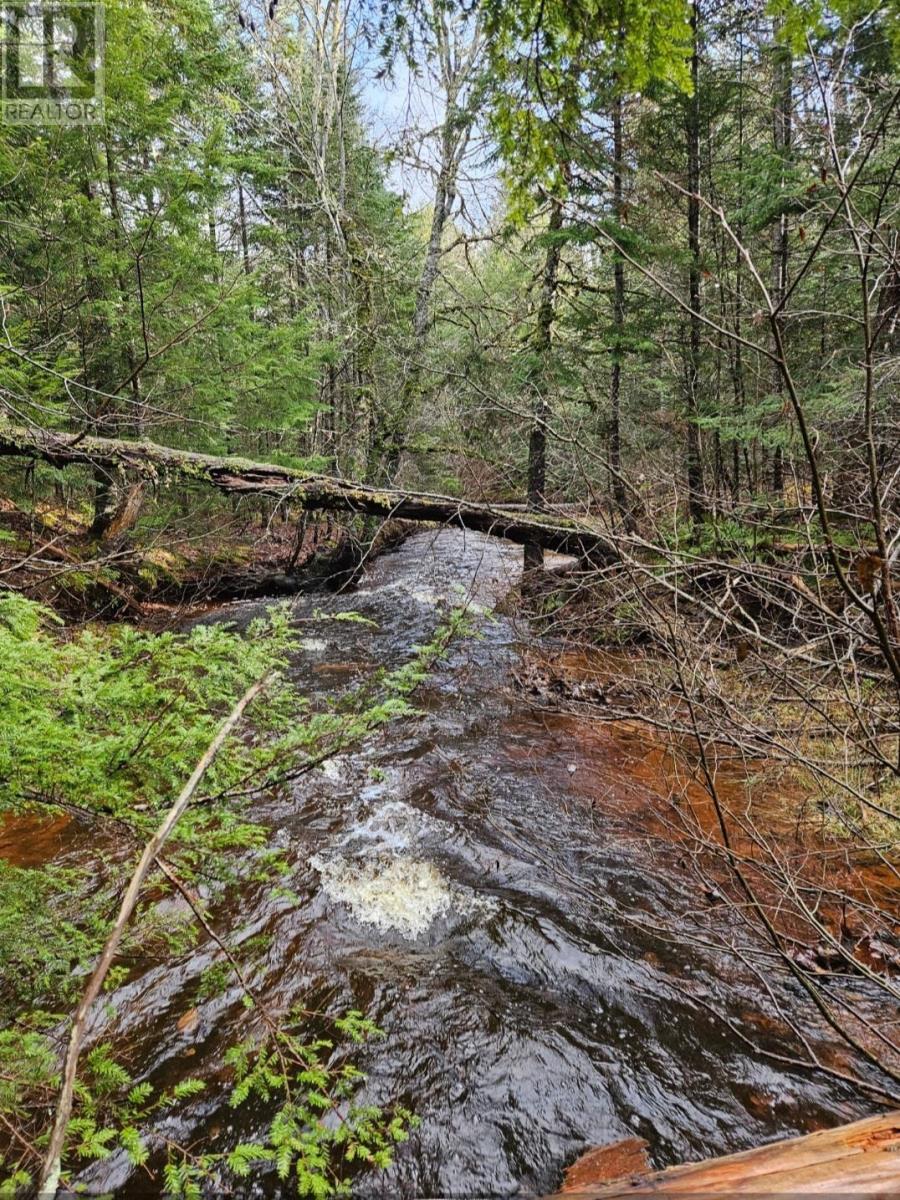 Lot 25-1 Highway #368, Wentworth, Nova Scotia  B0M 1Z0 - Photo 13 - 202521733