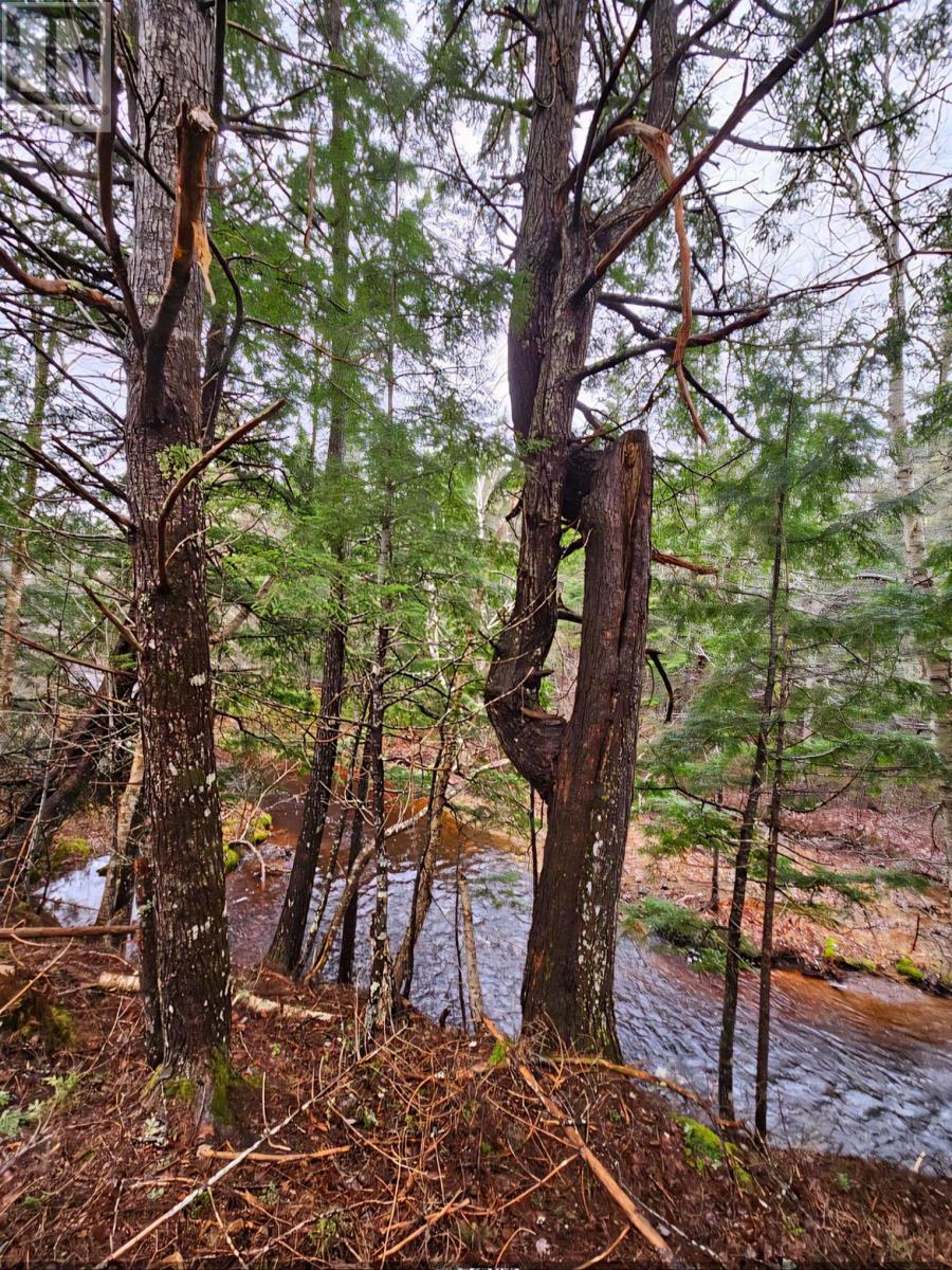 Lot 25-1 Highway #368, Wentworth, Nova Scotia  B0M 1Z0 - Photo 14 - 202521733