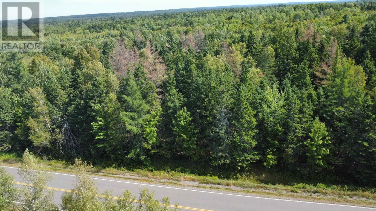 Lot 25-1 Highway #368, Wentworth, Nova Scotia  B0M 1Z0 - Photo 6 - 202521733