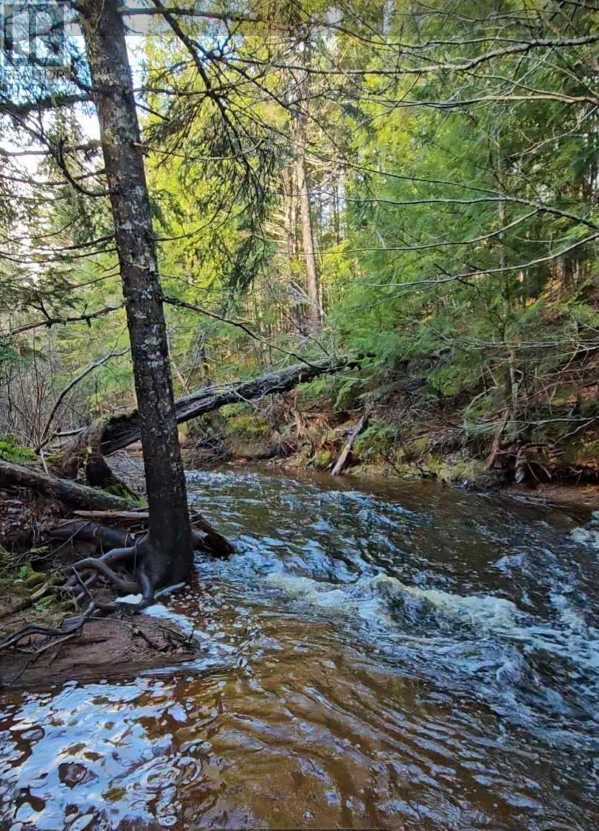 Lot 25-1 Highway #368, Wentworth, Nova Scotia  B0M 1Z0 - Photo 8 - 202521733