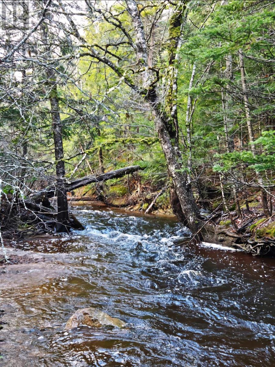 Lot 25-2 Highway #368, Wentworth, Nova Scotia  B0M 1Z0 - Photo 11 - 202521734