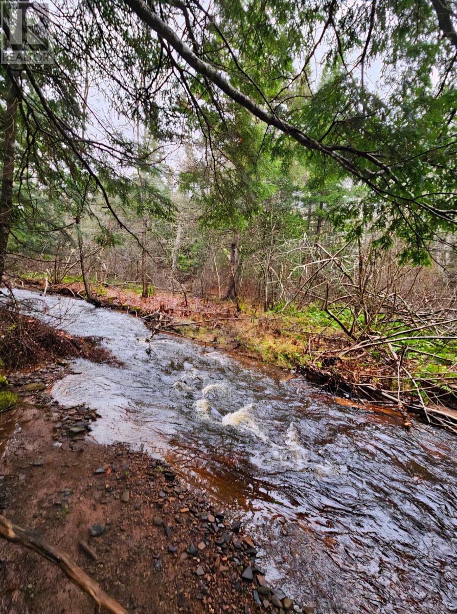 Lot 25-2 Highway #368, Wentworth, Nova Scotia  B0M 1Z0 - Photo 15 - 202521734