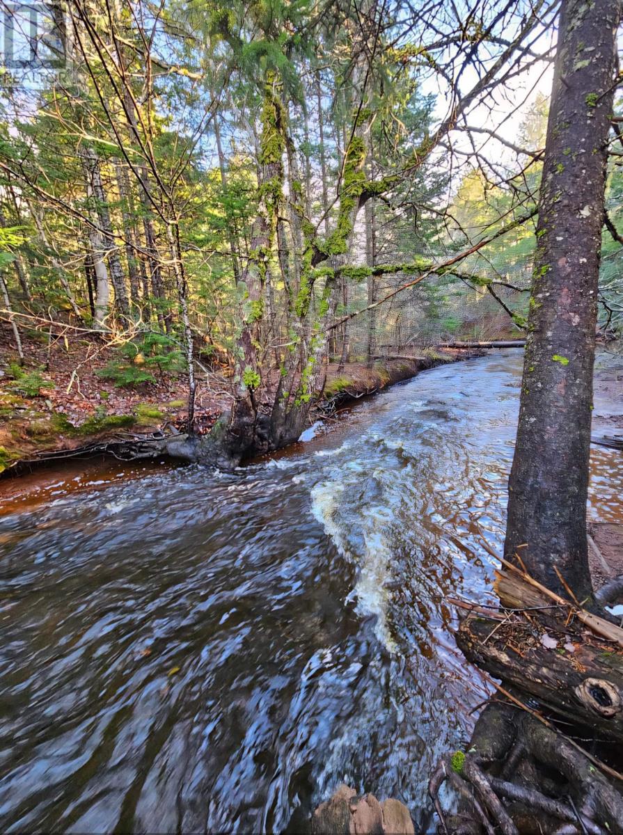Lot 25-3 Highway #368, Wentworth, Nova Scotia  B0M 1Z0 - Photo 10 - 202521735