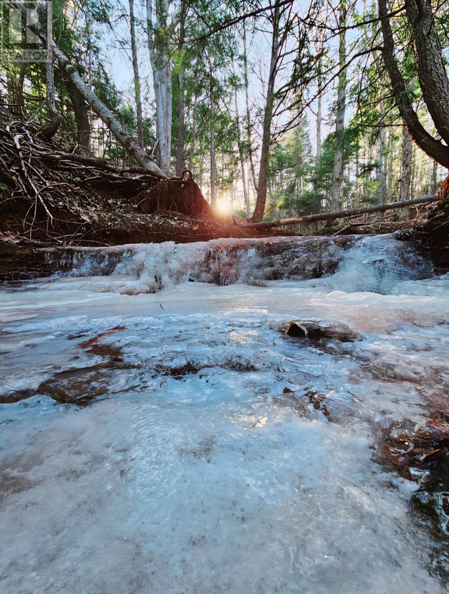 Lot 25-3 Highway #368, Wentworth, Nova Scotia  B0M 1Z0 - Photo 17 - 202521735