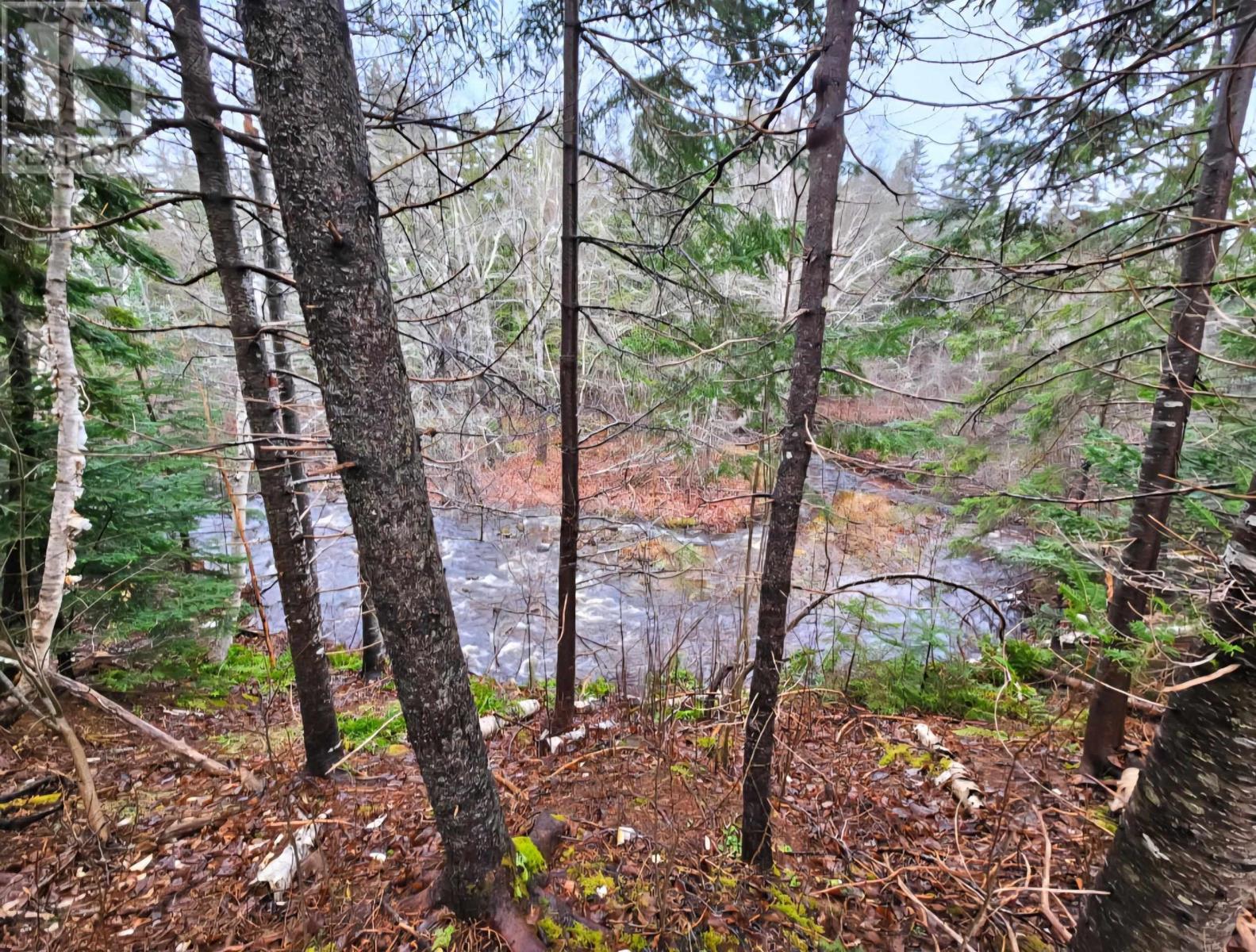 Lot 25-3 Highway #368, Wentworth, Nova Scotia  B0M 1Z0 - Photo 18 - 202521735