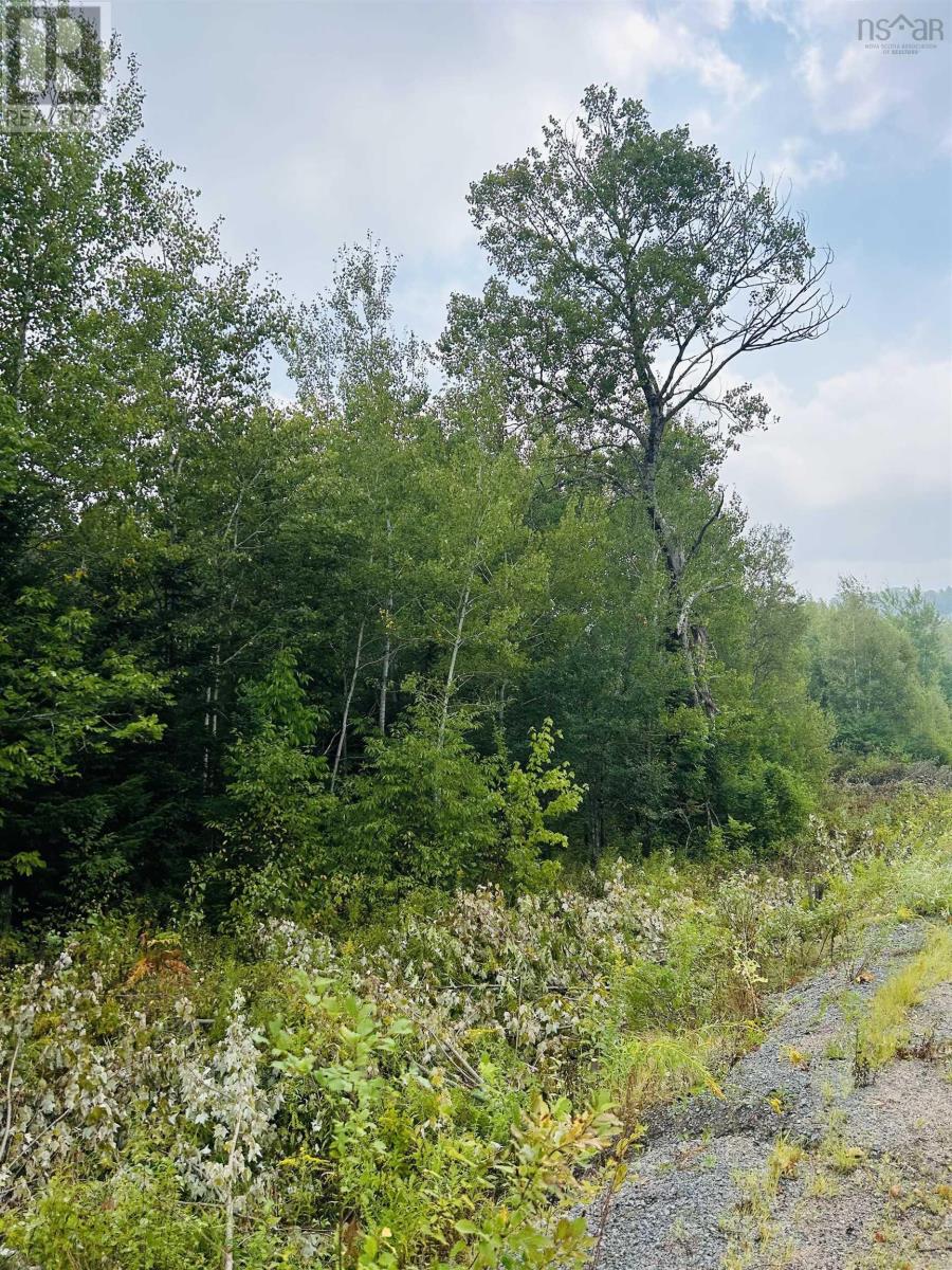 Lot Alpena Road, East Inglisville, Nova Scotia  B0S 1M0 - Photo 10 - 202521742