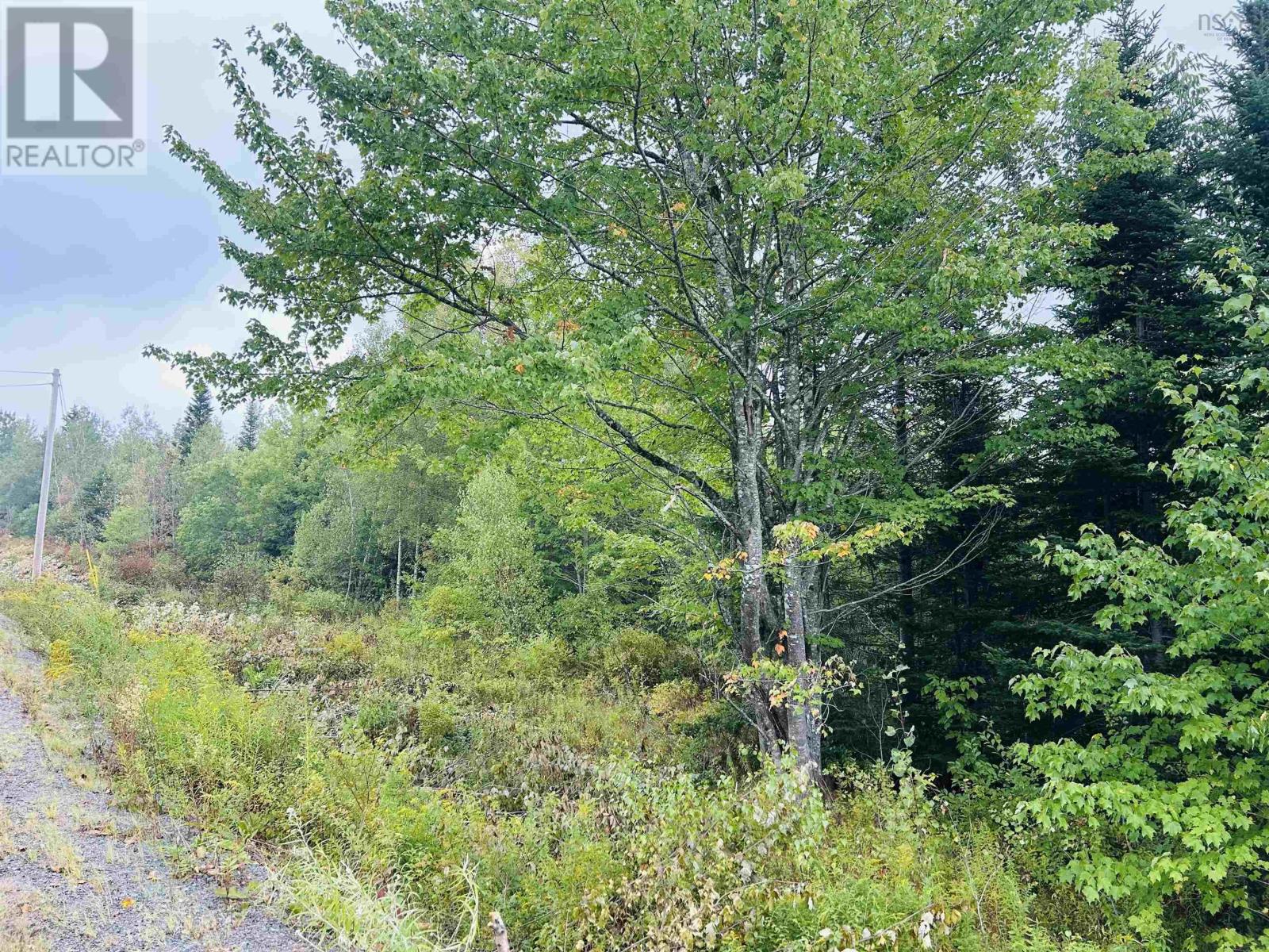 Lot Alpena Road, East Inglisville, Nova Scotia  B0S 1M0 - Photo 4 - 202521742